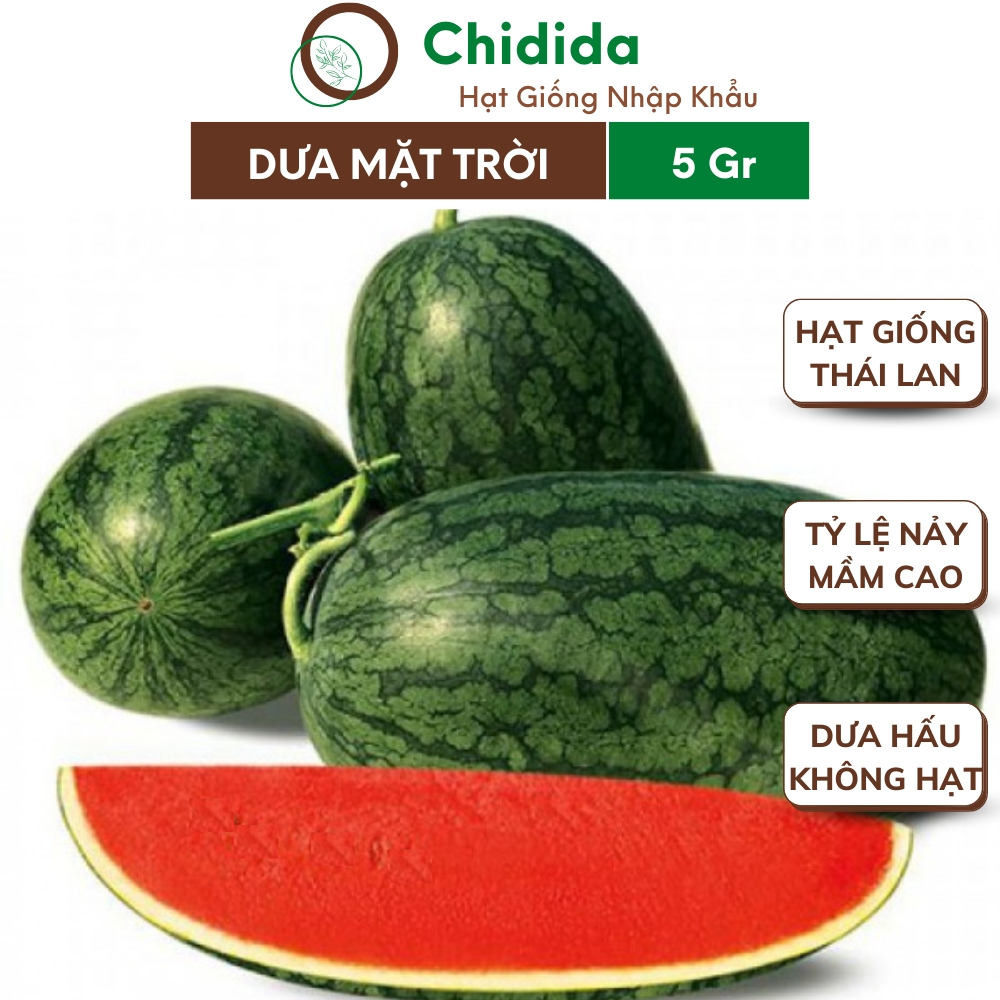 Hạt giống dưa hấu Chidida trái dài ruột đỏ không hạt trái to năng xuất cao giống F1 nhập khẩu Thái Lan gói 1g