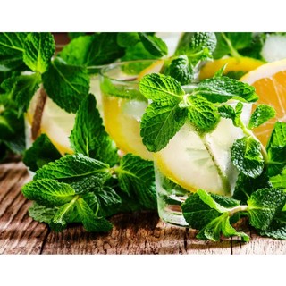 100gr bột hương bạc hà thơm - hương thực phẩm