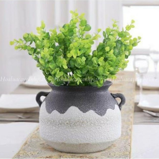 Cụm cỏ ngâu giả trang trí