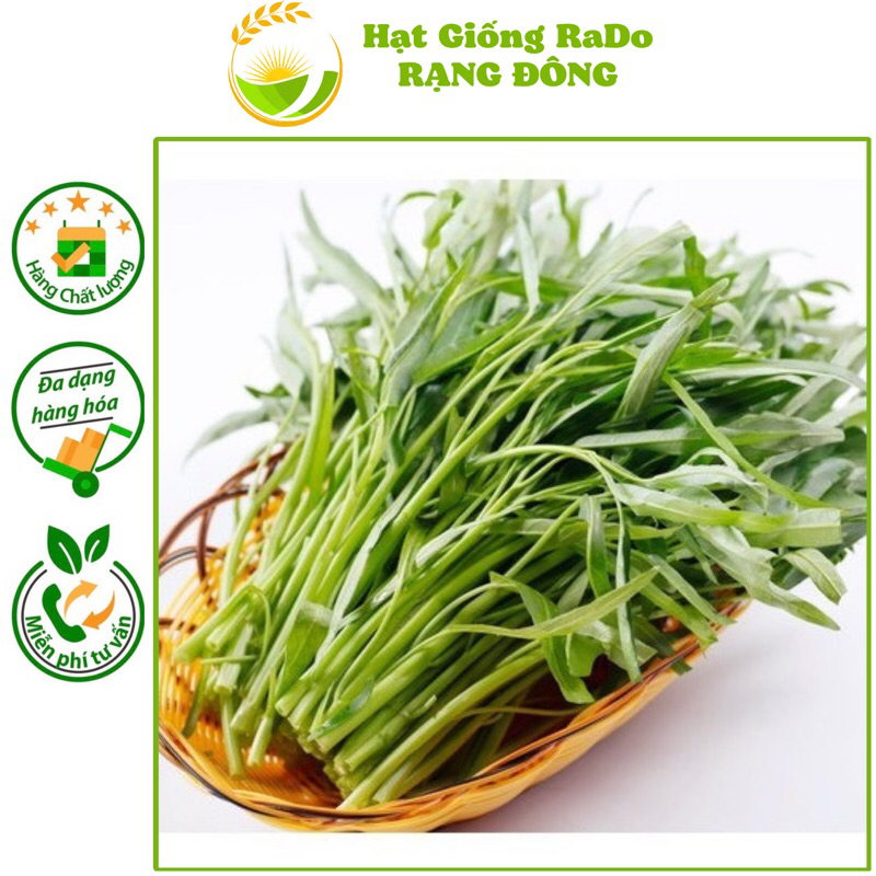 Hạt Giống Rau Muống Lá Tre RaDo 12 (Gói 50gram) Hạt Giống Rạng Đông