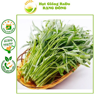 Hạt giống rau muống lá tre rado 12 hạt giống rạng đông
