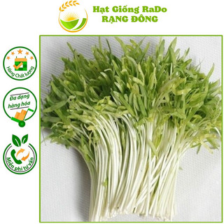 Hạt giống rạng đông - mầm rau muống rado 16 - gói 50gram