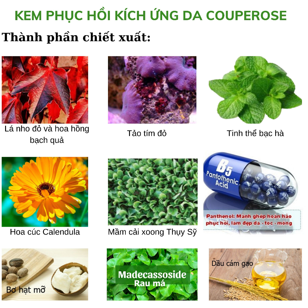 Kem Phục Hồi Kích Ứng Da Couperose Swissforce