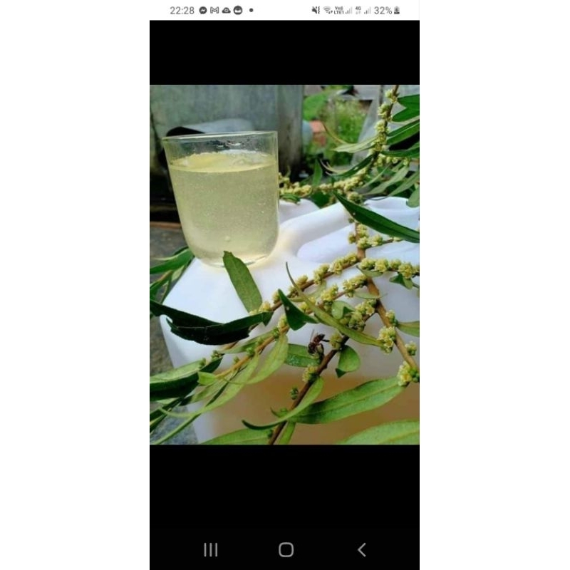 Mật ong trắng. mật ong hoa blong song chuẩn loại 1