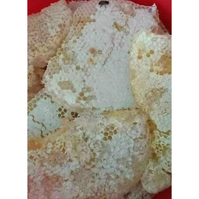 Mật ong trắng. mật ong hoa blong song chuẩn loại 1