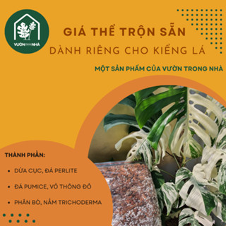 Giá thể kiểng lá cao cấp 2kg thông thoáng cho rễ phát triển chuyên dụng trồng cây kiểng lá cây cảnh indoor