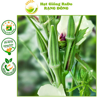 Hạt giống đậu bắp năm khía rado 646 dễ trồng, trồng quanh năm, hạt giống rạng đông