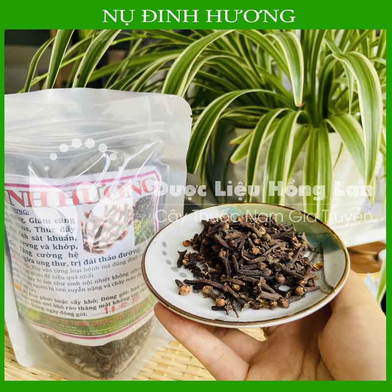 ✅ (Thượng Hạng) Nụ Đinh Hương Tây Bắc khô sạch loại 1 (gia vị nấu phở, lẩu, tiềm hoàn toàn tự nhiên)