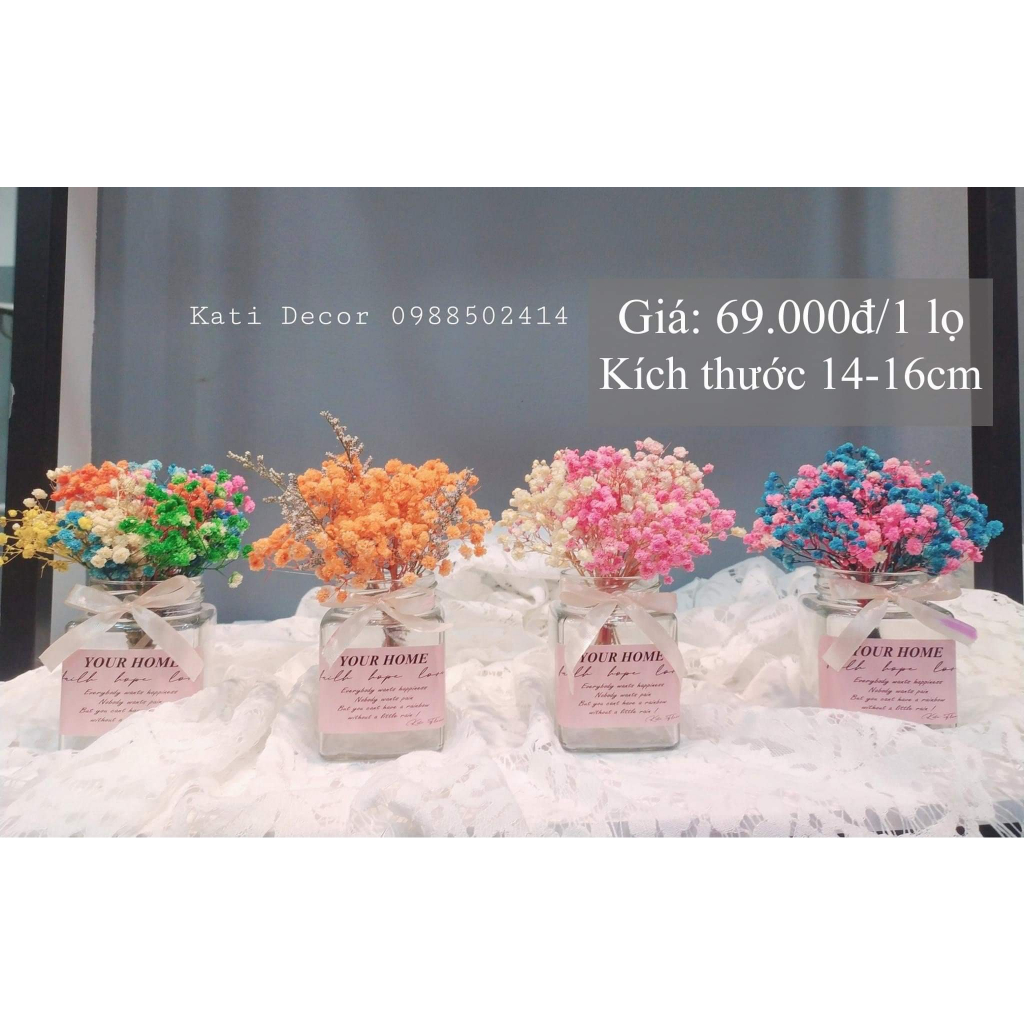 Bình hoanbaby khô Mini ❤️FREESHIP❤️ Gypsophila hoa khô trang trí phòng ngủ, làm đồ handmade , trang trí cửa hàng KATI.HN