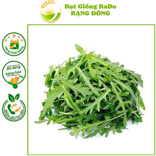 Hạt giống rau thơm wild rocket rado 930 hạt giống rạng đông