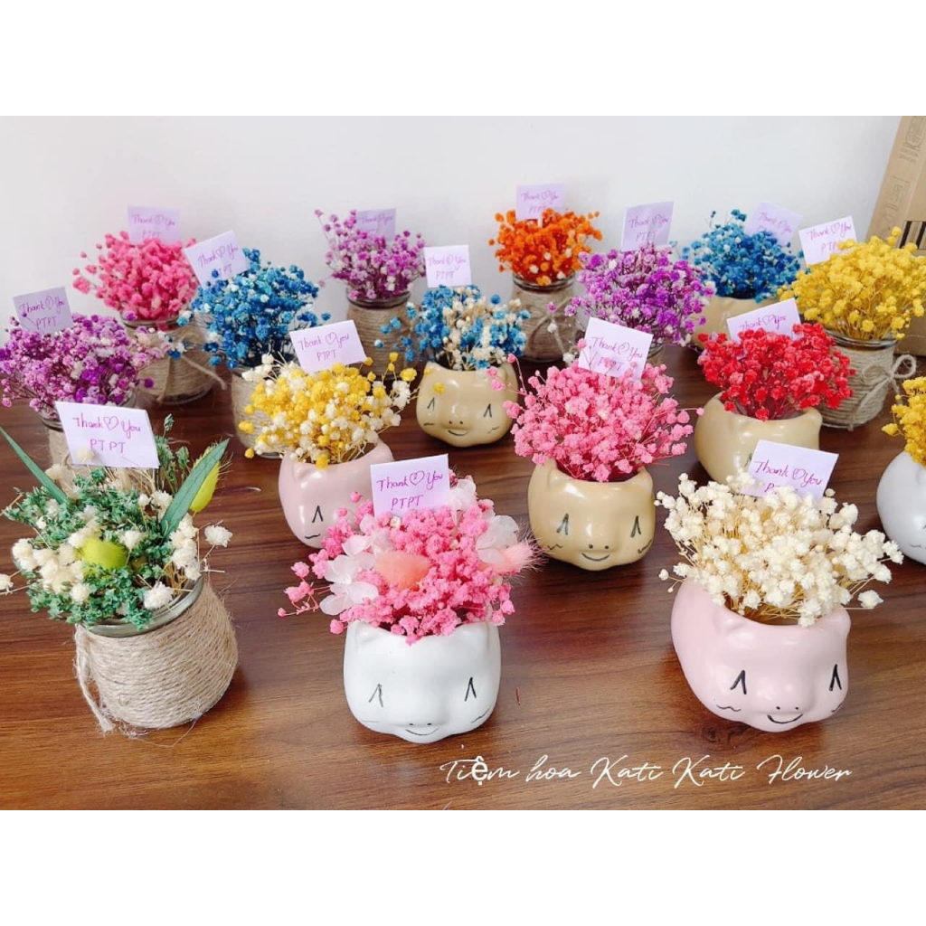 Bình hoanbaby khô Mini ( Mã E:01) ❤️FREESHIP❤️hoa khô trang trí phòng ngủ, trang trí cửa hàng KATI.HCM
