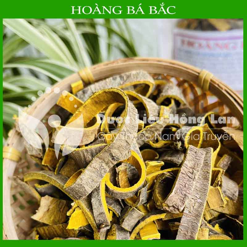 ✅ Hoàng Bá Bắc đẹp loại 1 -