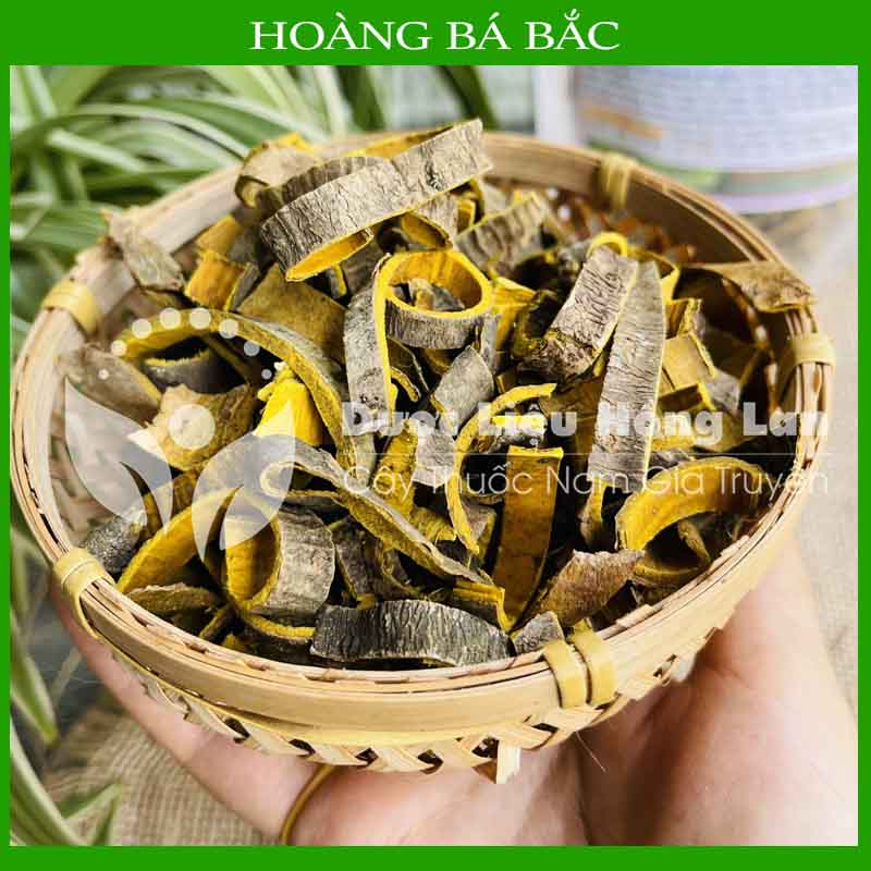 ✅ Hoàng Bá Bắc đẹp loại 1 -