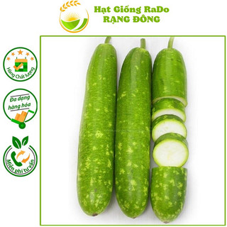 Hạt giống bầu sao lai f1 rado 26 hạt giống rạng đông