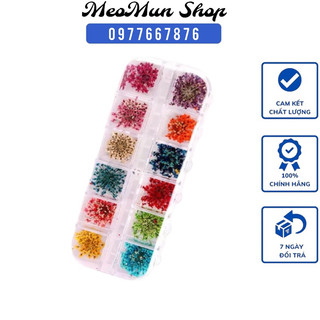 Sét 12 bộ màu hoa khô làm nail