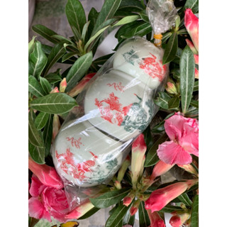 Combo 3 cóng sứ tai tre trơn chào mào ,khuyên  khứu