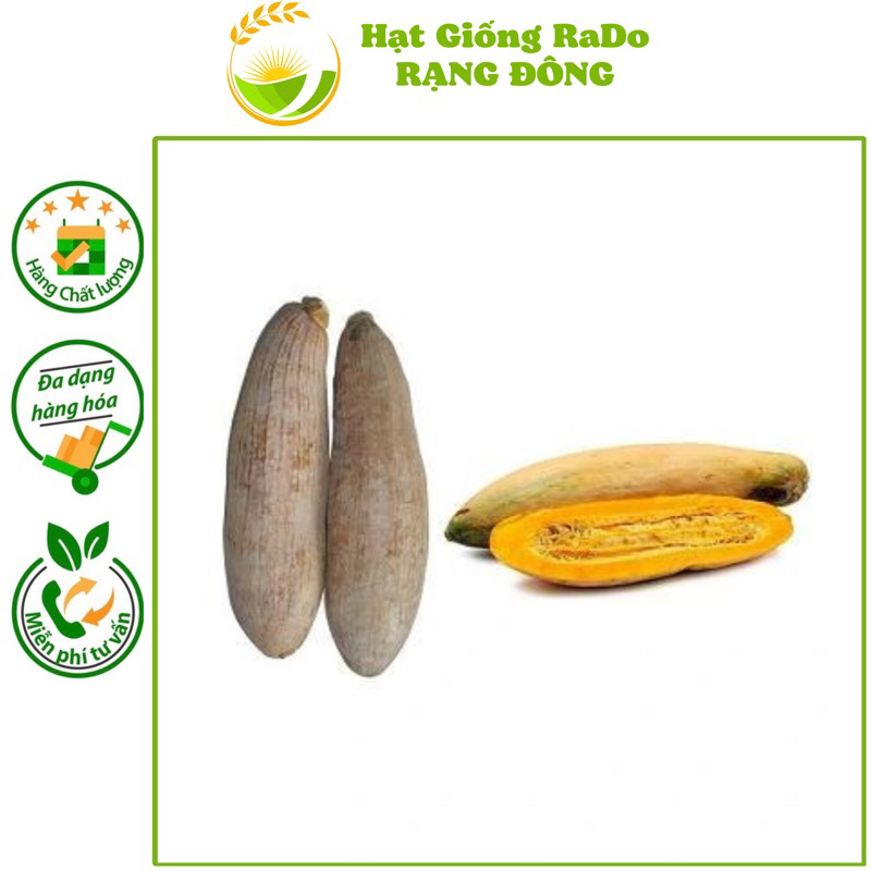 Hạt Giống Bí Sáp F1 RaDo 529 (Gói 1gram) Hạt Giống Rạng Đông