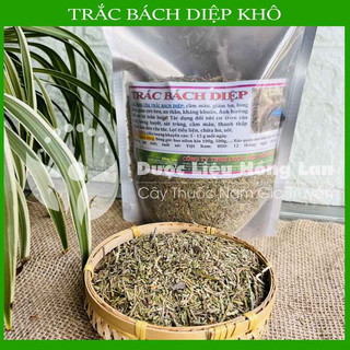 ✅ cây trắc bách diệp đẹp loại 1 -