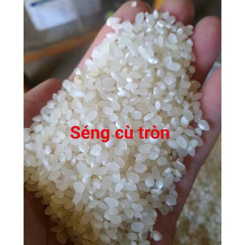 GẠO SÉNG CÙ HẠT TRÒN (1kg Túi hút chân không)