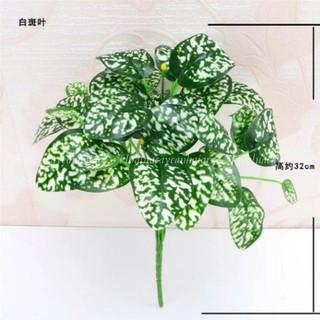 Lá giả - cụm lá đốm ( để Free ship CHAT ngay với người bán)