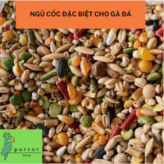 Ngũ cốc đặc biệt cho gà đá, gà chọi thức ăn cho chiến kê giúp tăng cơ tăng sự dẻo dai