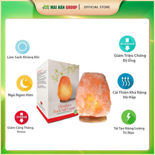 Đèn Đá Muối Himalaya Nhập Khẩu Pakistan Size S (2-3Kg)