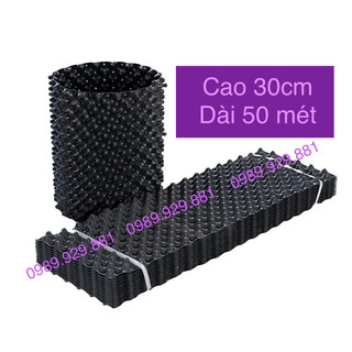 Bầu ươm cây cao 30cm, dài liền 50mét