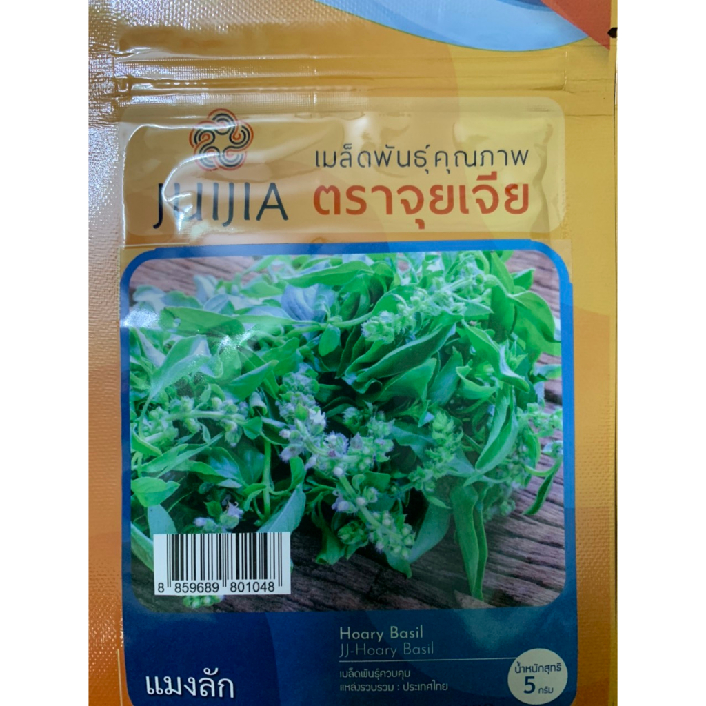 hạt giống lá é trắng nhập khẩu thái lan