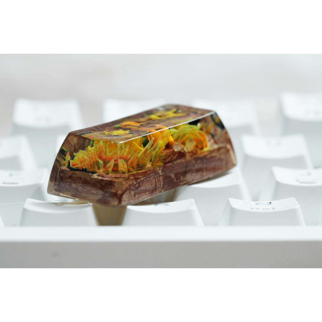 2U pichu, pikachu, raichu keycap - nút bàn phím cơ