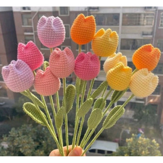 hoa tulip len (1 bông)