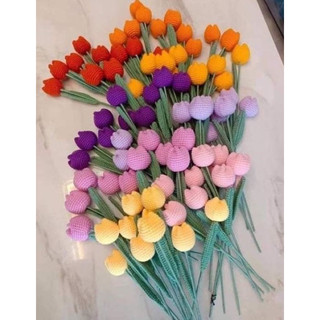 hoa tulip len (1 bông)