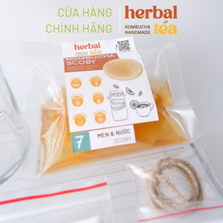 Scoby herbal tea _ s m l nguyên liệu làm kombucha tại nhà