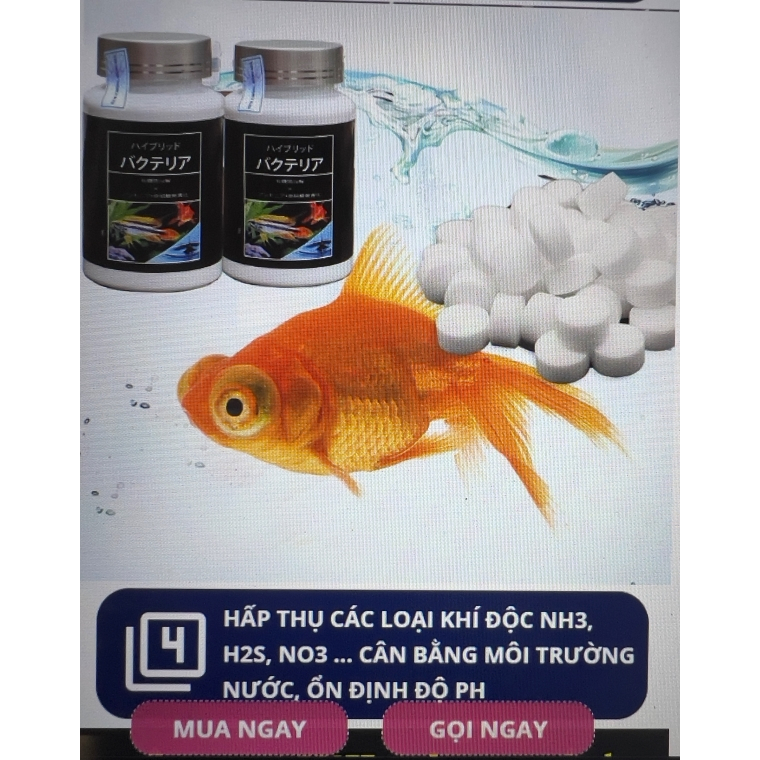 Vi sinh dạng viên nén làm trong nước cho bể cá cảnh Aquarista Nhật Bản