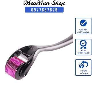 Cây lăn kim tay ZGTS 540 đầu kim 0.25 - 1mm