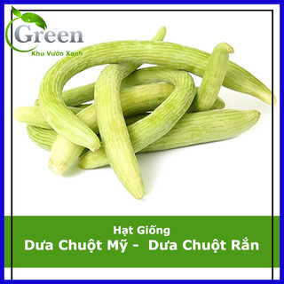 Hạt giống dưa chuột mỹ siêu dài - dưa chuột rắn armenian
