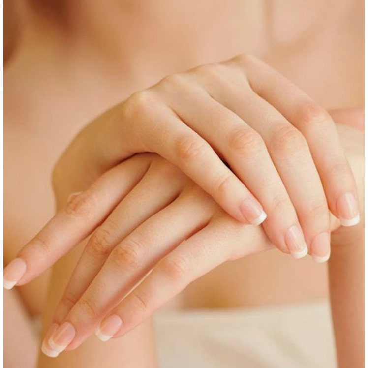 Bấm Móng Tay Inox Thân Nhựa Tybe W001 Kai Razor 39262 -KE0110 Cỡ Trung Màu Xanh