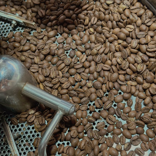 Cà phê Việt Nam Langbiang Washed 250g