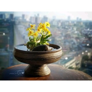 Bình gốm dáng ang men mộc gốm Bát Tràng, ly chậu ang trồng thủy tiên, cắm hoa nghệ thuật ikebana, ly đựng quả để bàn