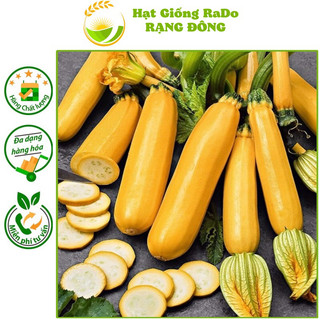 Hạt giống bí ngòi vàng rado 337 hạt giống rạng đông