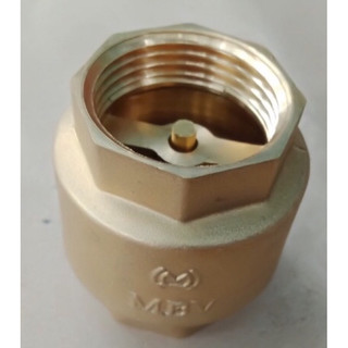 van một chiều lò xo 21+27+34  mbv