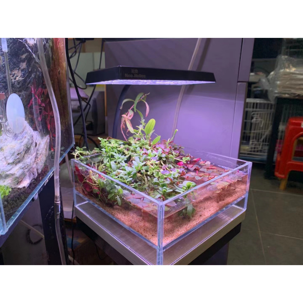 Đèn Led FLAT S3 Nano và DEYAO CF 02 RGB cho bể thủy sinh, Đèn LED kẹp RGB -đèn cho hồ cá cảnh -shop