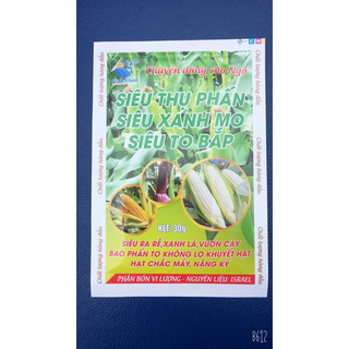 100 gói chuyên ngô- xanh mo - to bắp -chắc hạt