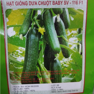 Dưa chuột baby SV-116 F1 gói 6 hạt