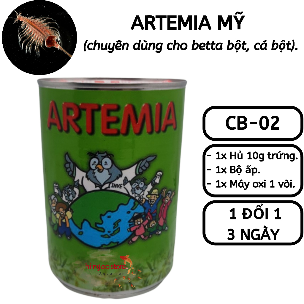 Combo 2: 10g Trứng Artemia Mỹ Loại Xịn + Bộ Ấp + Máy Oxi 1 Vòi - Thức ăn cá betta bột, cá bột | Hingaostore.