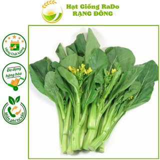 Hạt giống cải ngọt ăn bông rado gói 20gram hạt giống rạng đông