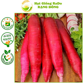 Hạt giống củ cải đỏ rado 715 gói 2gram hạt giống rạng đông