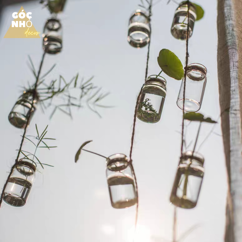 Dây Lọ Thủy Tinh Dùng Cắm Hoa, Cây Thủy Sinh Nhỏ, Làm Chuông Gió