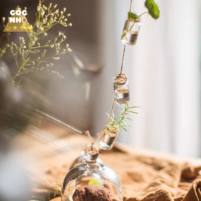 Dây Lọ Thủy Tinh Dùng Cắm Hoa, Cây Thủy Sinh Nhỏ, Làm Chuông Gió