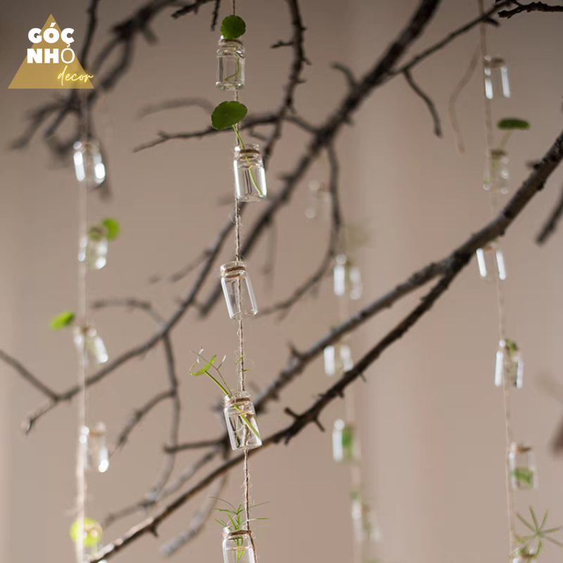 Dây Lọ Thủy Tinh Dùng Cắm Hoa, Cây Thủy Sinh Nhỏ, Làm Chuông Gió