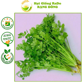 Hạt giống ngò rí rado 31 gói 20gram hạt giống rạng đông